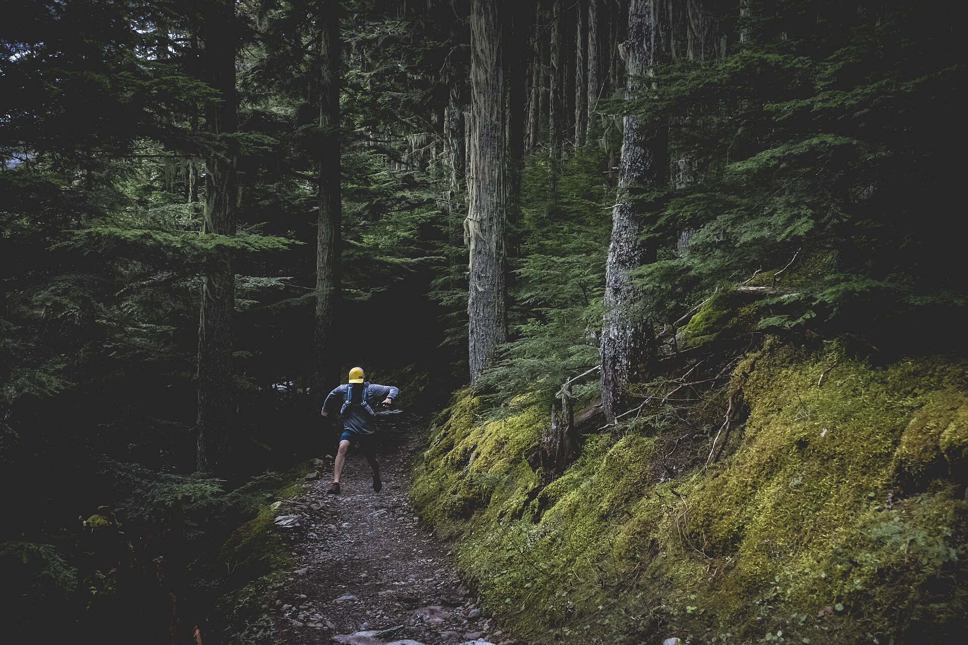 Real trail runner moving through an outdoor route