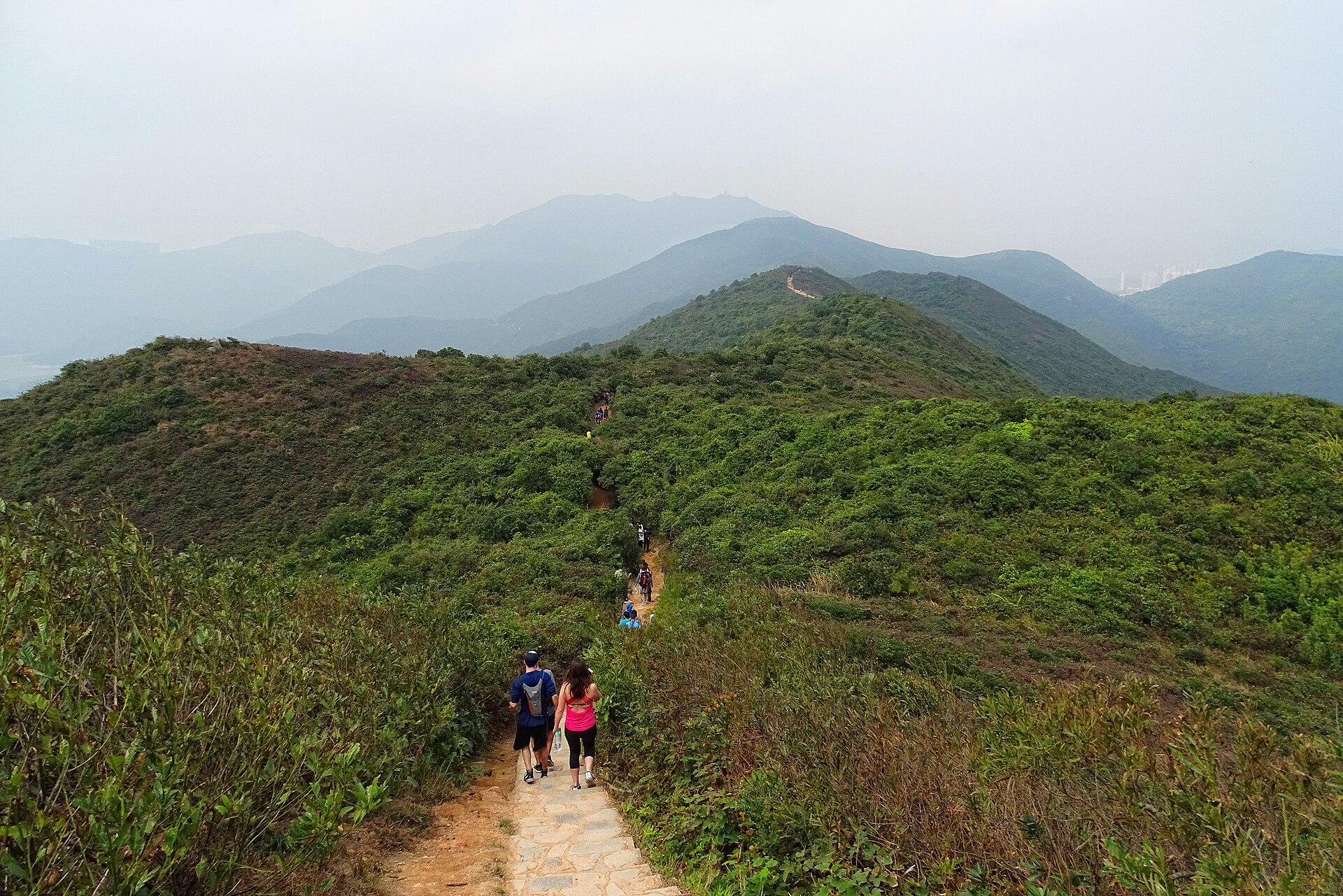 hike scenery for Dragon's Back Trail near Hong Kong Island