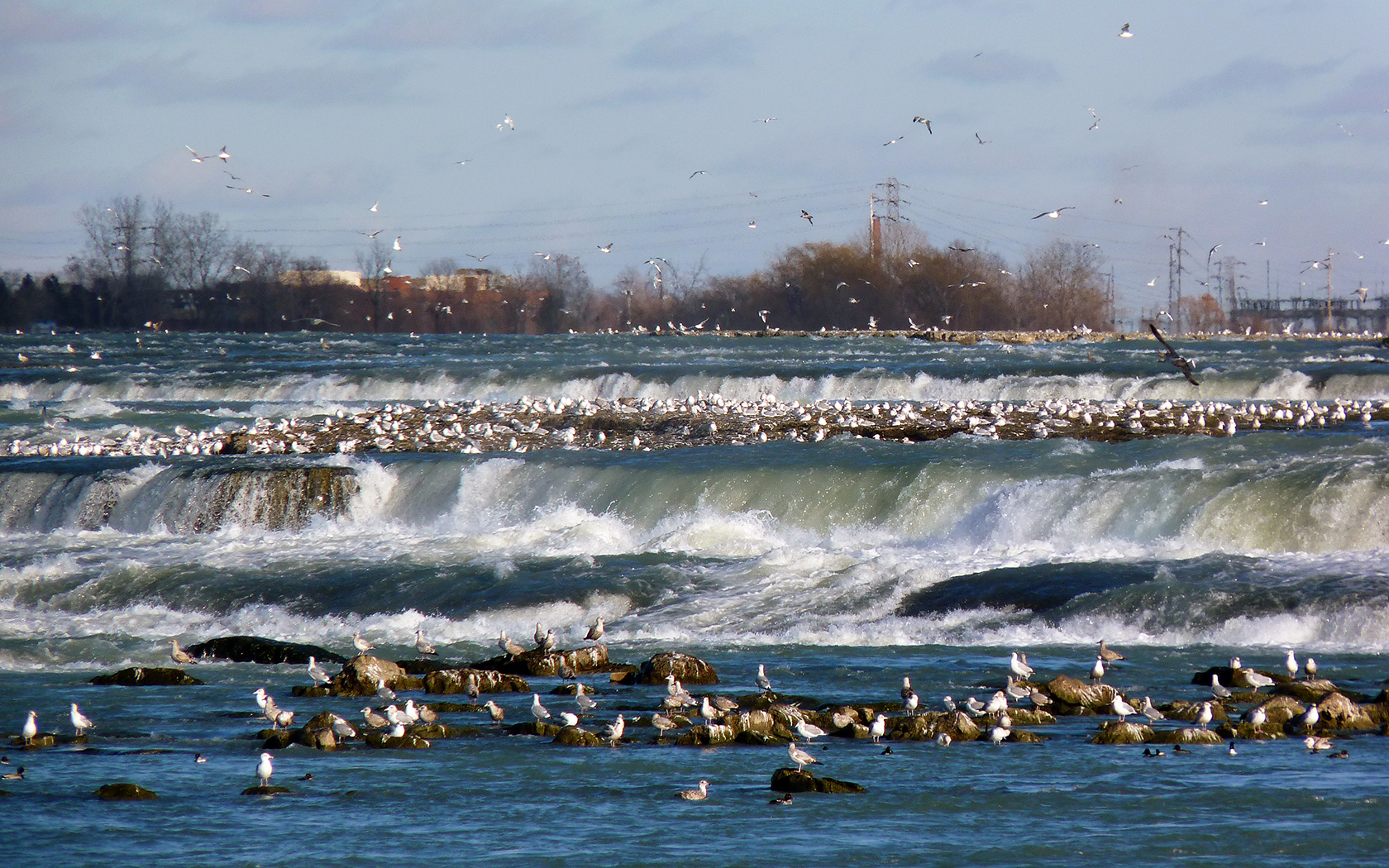 bike ride scenery for Niagara River Recreation Trail near Ontario