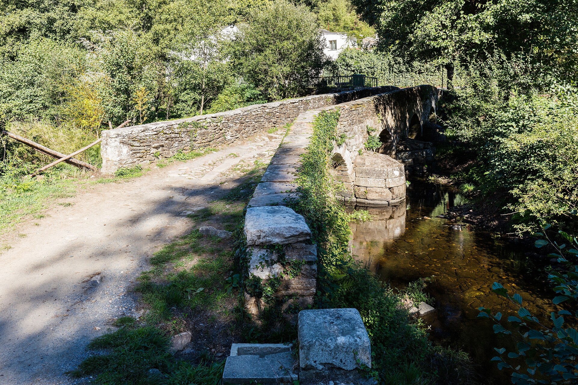 hike scenery for Camino de Santiago Day Walk near Galicia