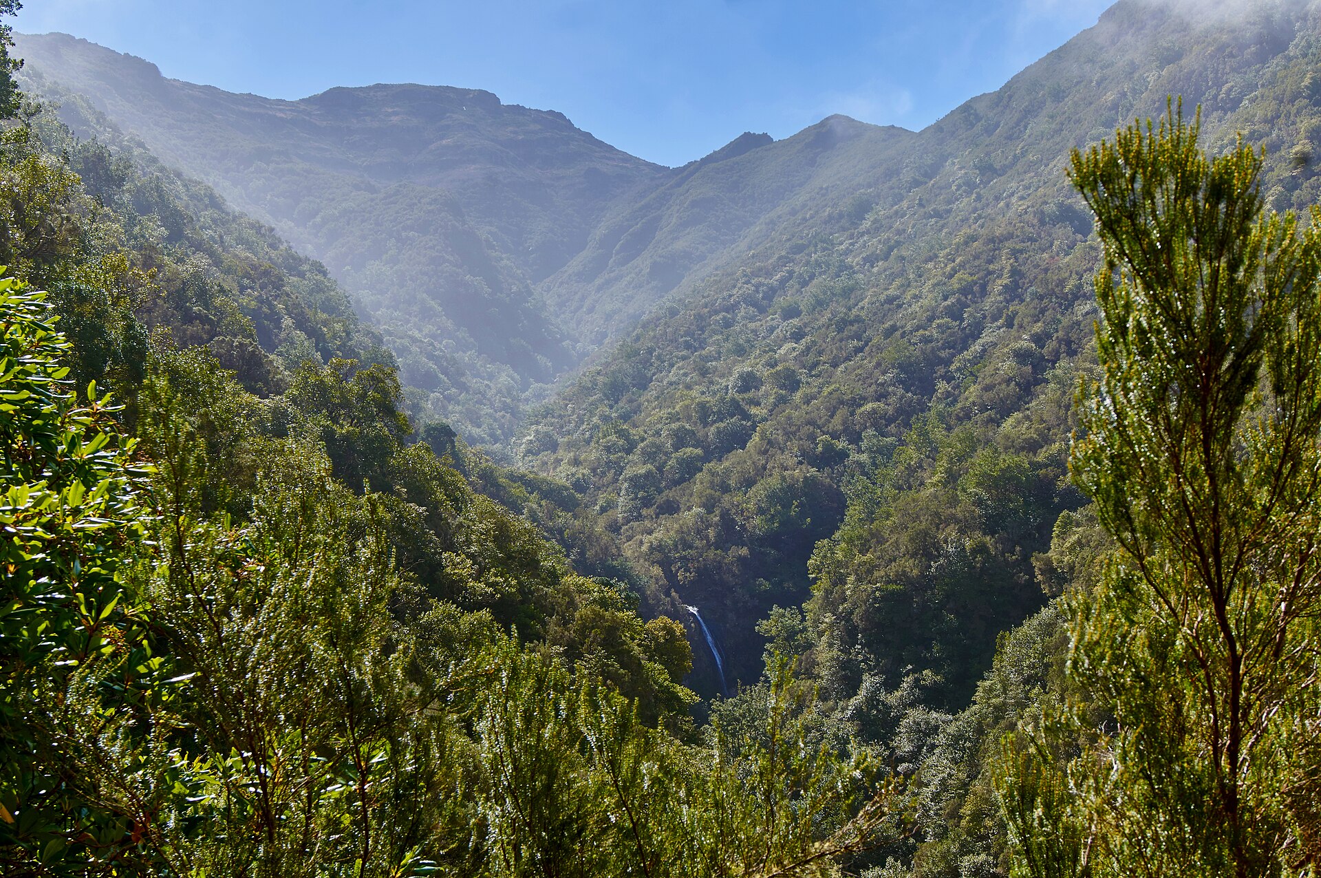 hike scenery for Madeira Levada do Caldeirao Verde near Madeira