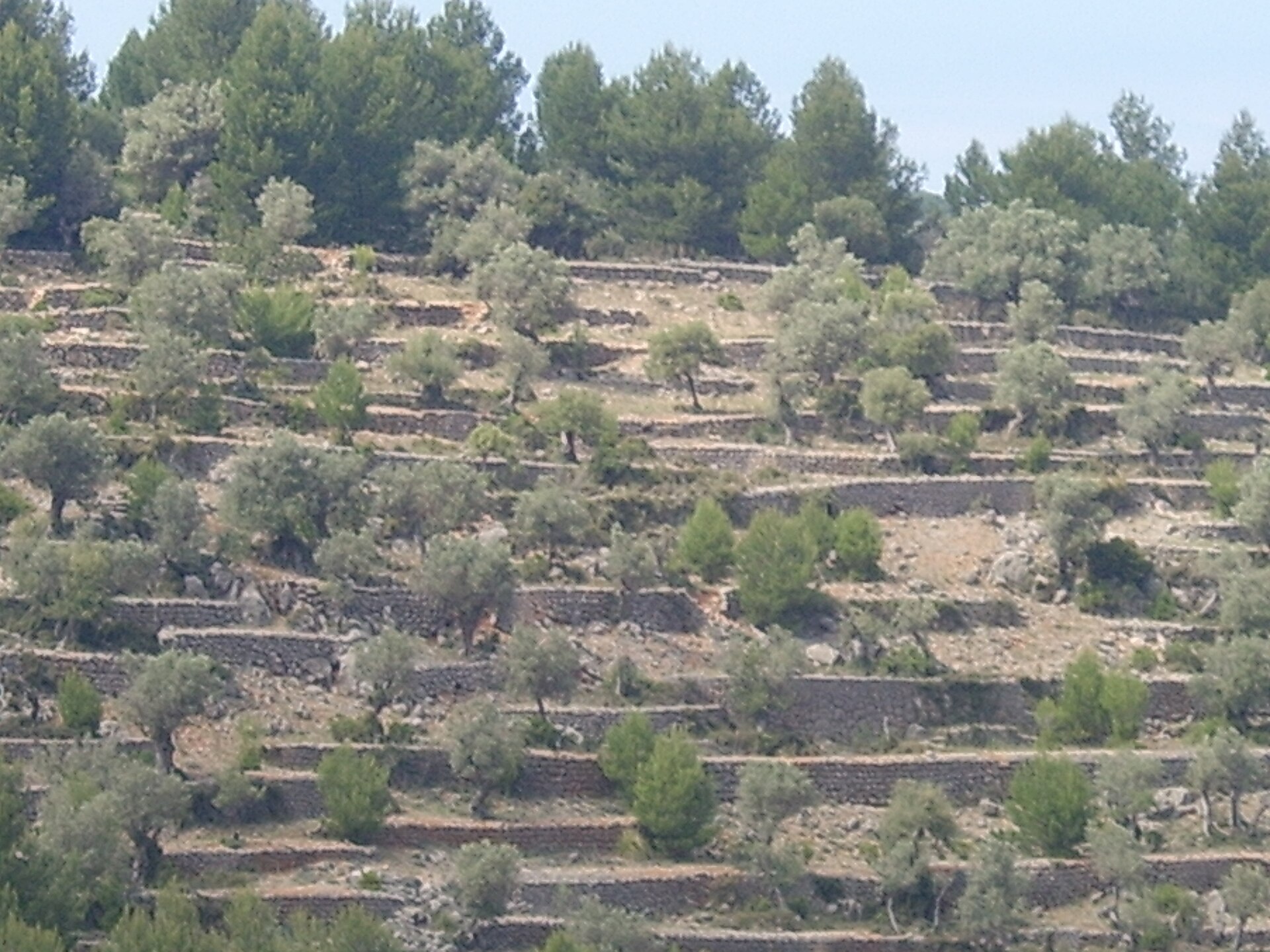 bike ride scenery for Mallorca Serra de Tramuntana Ride near Mallorca