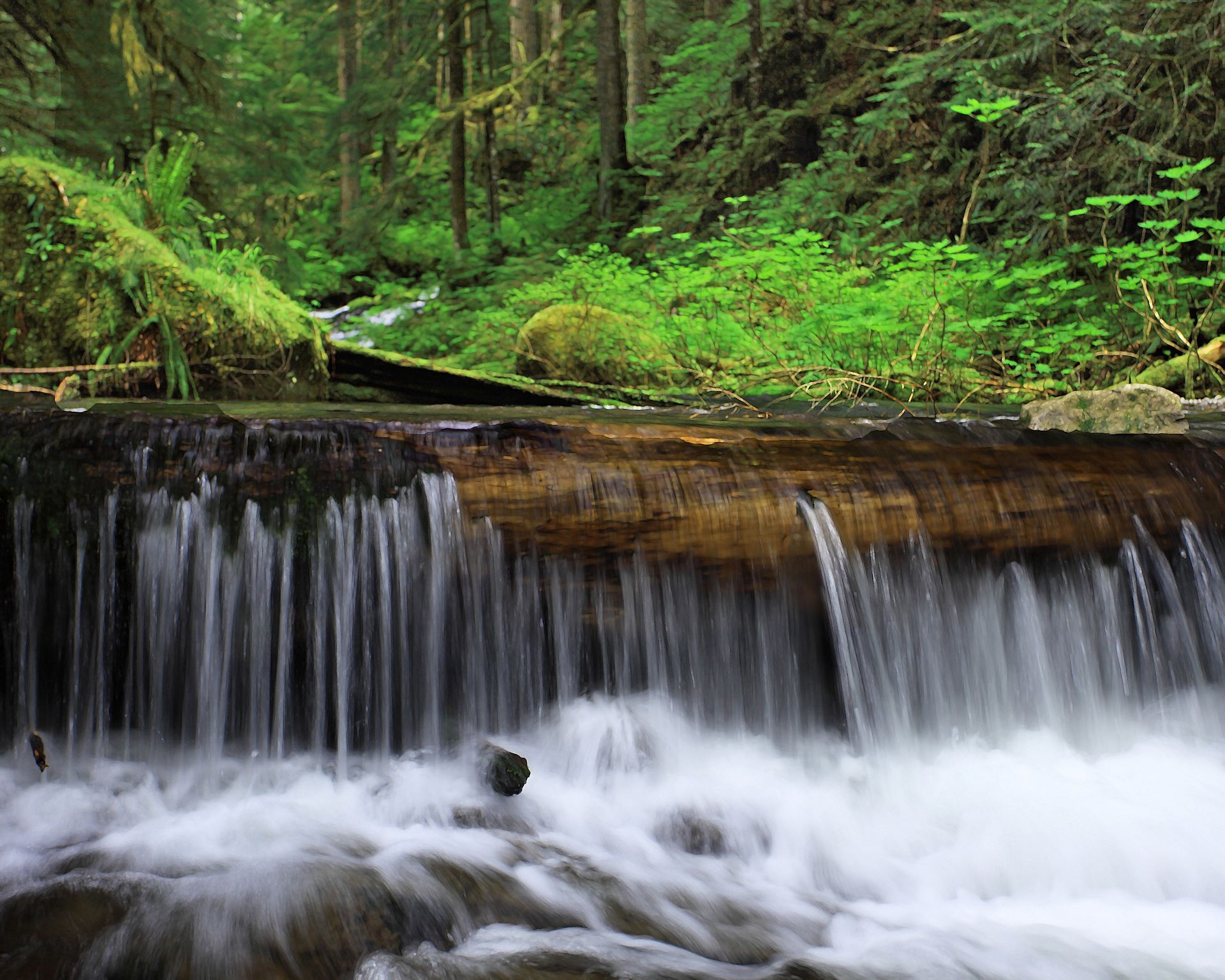 hike scenery for Columbia River Gorge Waterfalls near Oregon