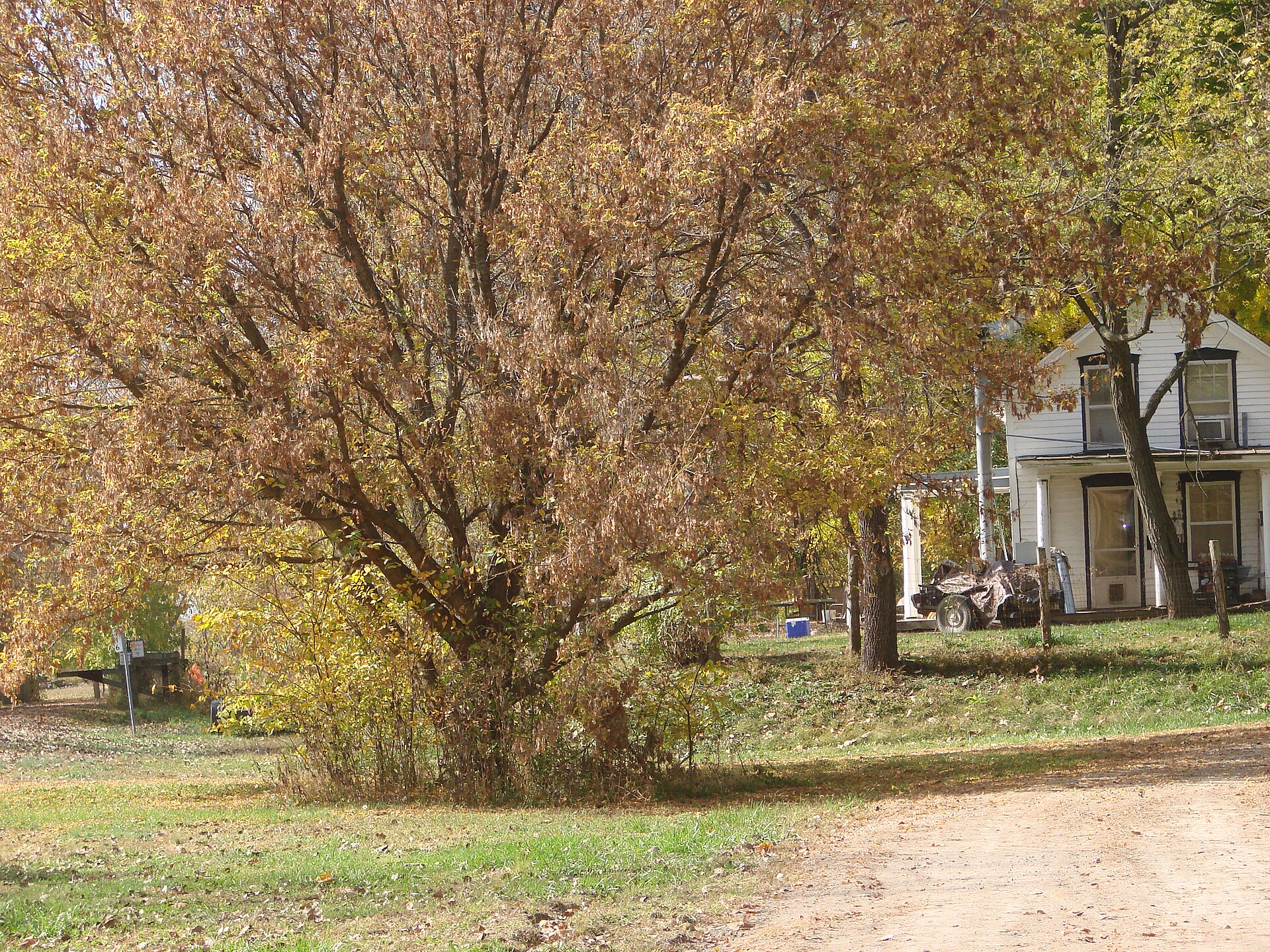 bike ride scenery for Katy Trail Missouri near Missouri