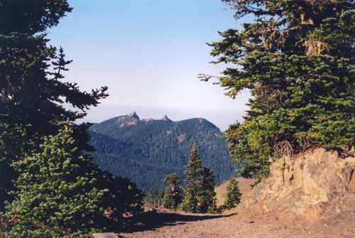 hike scenery for Olympic Hurricane Hill near Washington