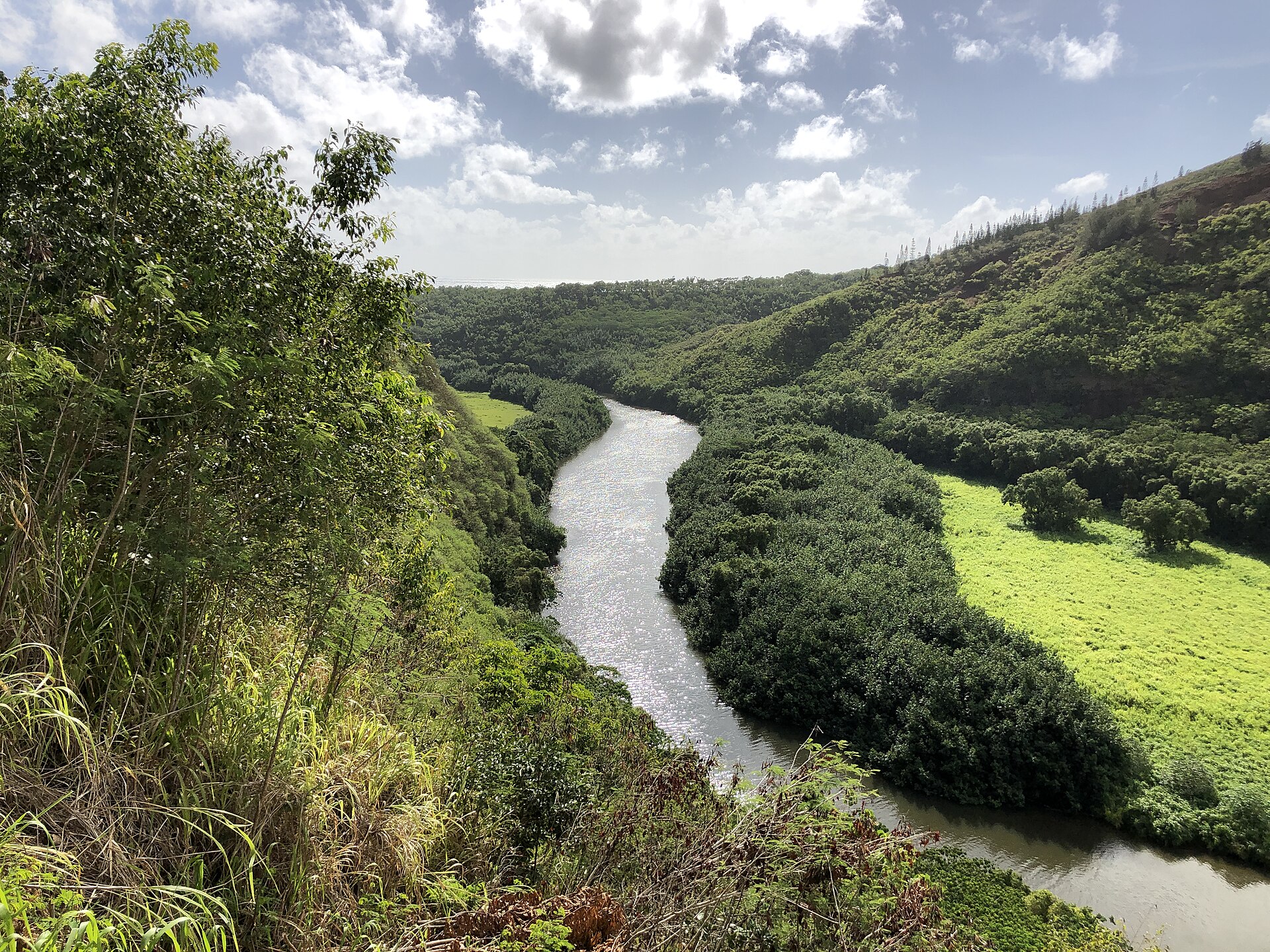 canoe trip scenery for Wailua River Paddle near Hawaii